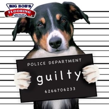 guilty | Floors & More Corporate Site